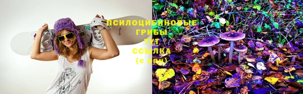 герыч Белокуриха